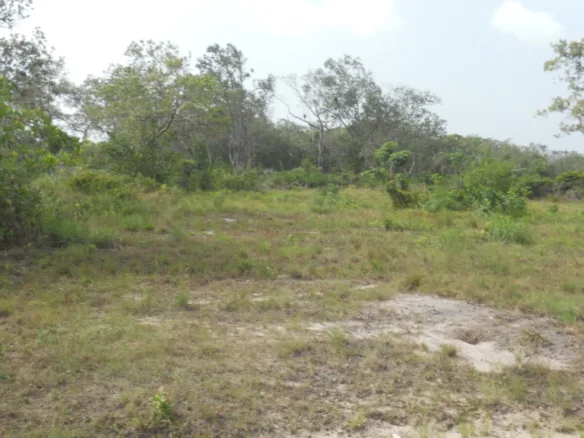 2 ACRE PARCELS IN WEST BURRELL BOOM ESTATE