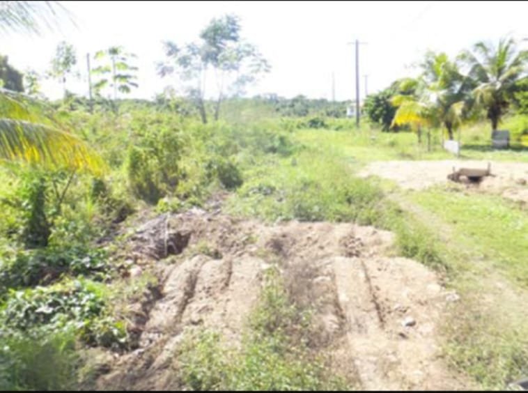 FOR SALE EMPTY LOT IN SARAWEE VILLAGE, STANN CREEK DISTRICT SBW