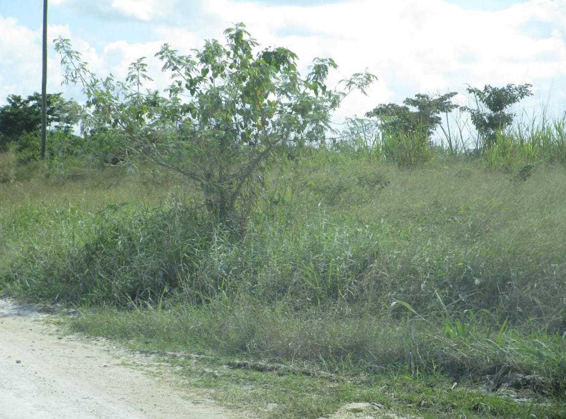 Screenshot 2022-05-18 220200