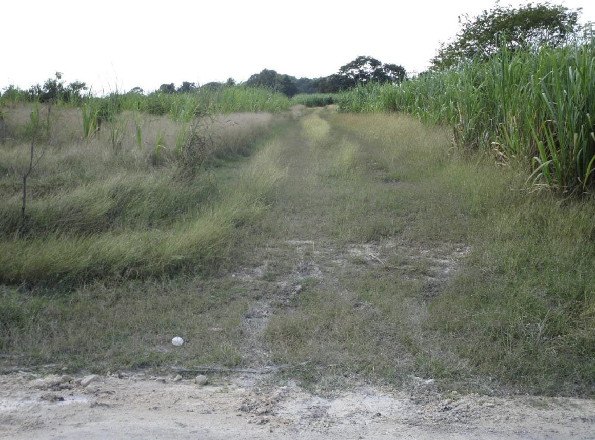 Screenshot 2022-05-18 221255