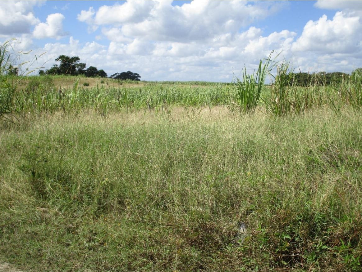 Screenshot 2022-05-18 221328