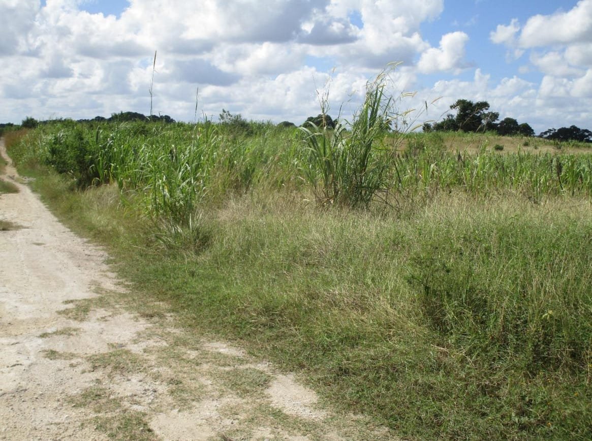 Screenshot 2022-05-18 221350