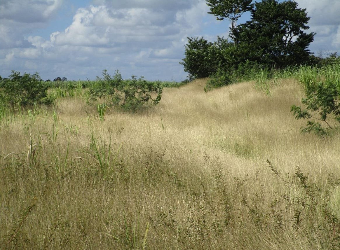 Screenshot 2022-05-18 221436