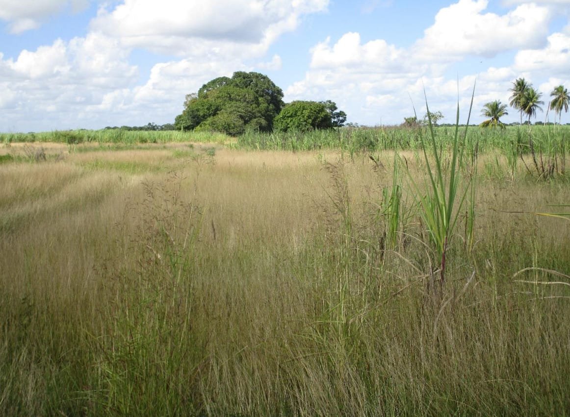 Screenshot 2022-05-18 221503