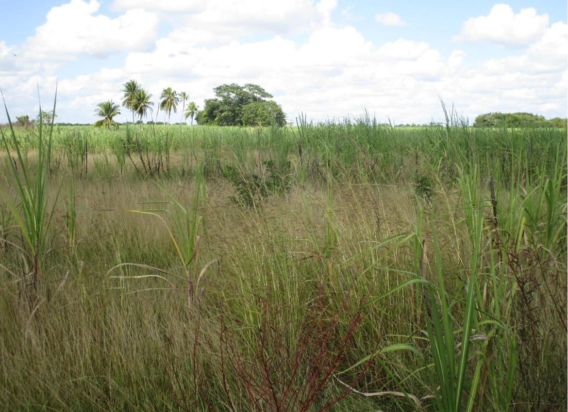 Screenshot 2022-05-18 221525