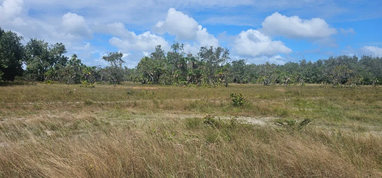 FOR SALE – PRIME RESIDENTIAL LOT IN BURRELL BOOM VILLAGE