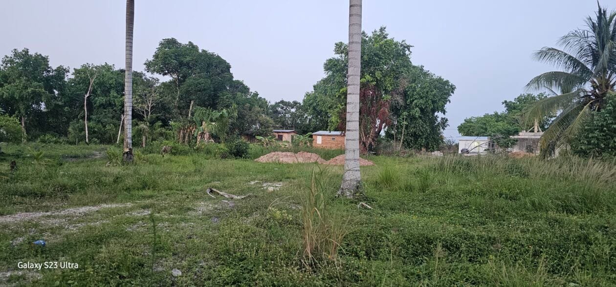 20260628_183548 For Sale: Prime Lot in Old Hattieville Village, Belize District