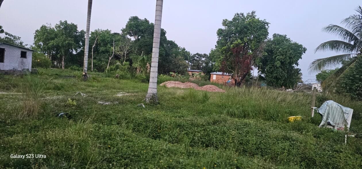 20260628_183647 For Sale: Prime Lot in Old Hattieville Village, Belize District